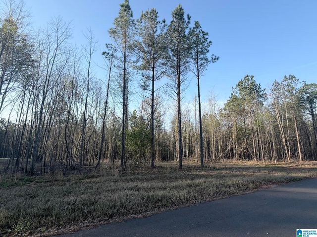 620 HORSESHOE TRAIL, Helena, AL 35022