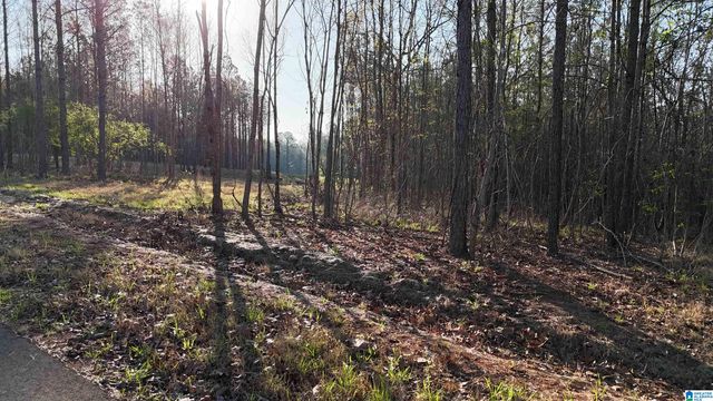 620 HORSESHOE TRAIL, Helena, AL 35022