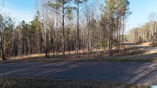620 HORSESHOE TRAIL, Helena, AL 35022