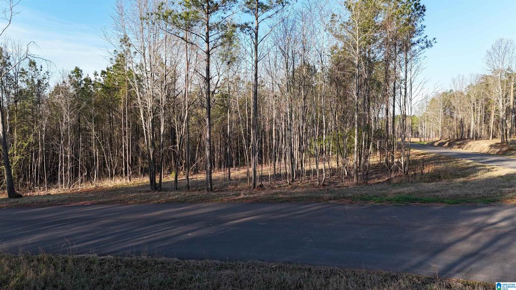 620 HORSESHOE TRAIL, Helena, AL 35022