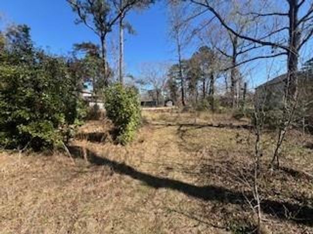 TBD Apple Tree, Livingston, TX 77351