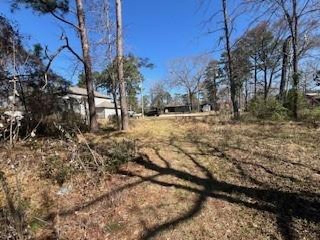 TBD Apple Tree, Livingston, TX 77351