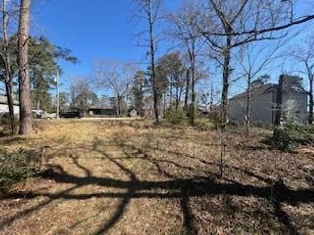 TBD Apple Tree, Livingston, TX 77351