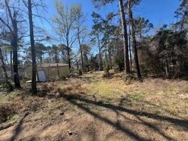 TBD Apple Tree, Livingston, TX 77351