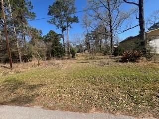 TBD Apple Tree, Livingston, TX 77351