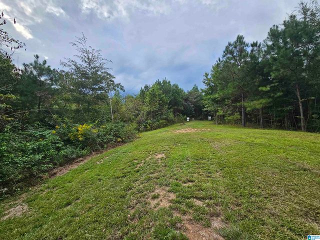 94 COUNTY ROAD 258, Clanton, AL 35046