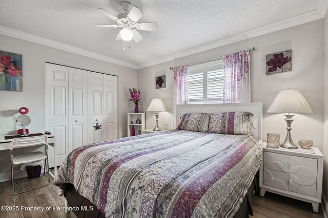 11647 Wheatfield Loop, Hudson, FL 34667