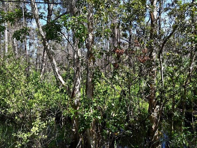 -- Dyer Road, Fort Pierce, FL 34952