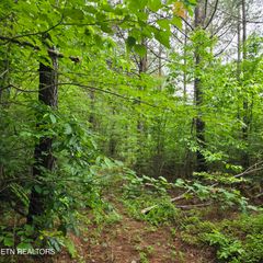 Lot 13 Holly Woods, Robbins, TN 37852