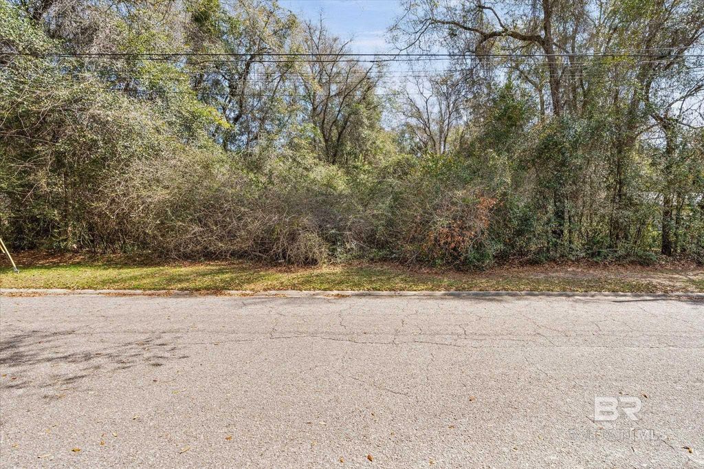 0 Blackjack Drive, Saraland, AL 36571