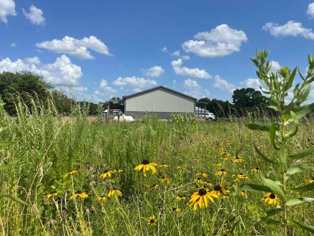 6609 County Road O-535, Ava, MO 65608