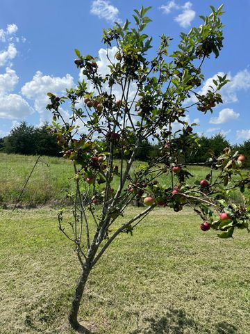 6609 County Road O-535, Ava, MO 65608