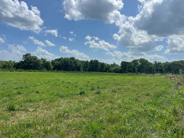 6609 County Road O-535, Ava, MO 65608