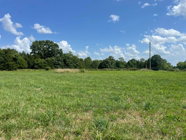 6609 County Road O-535, Ava, MO 65608