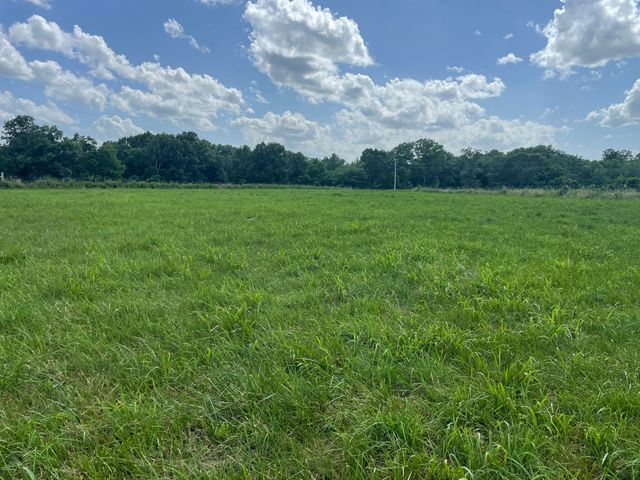 6609 County Road O-535, Ava, MO 65608