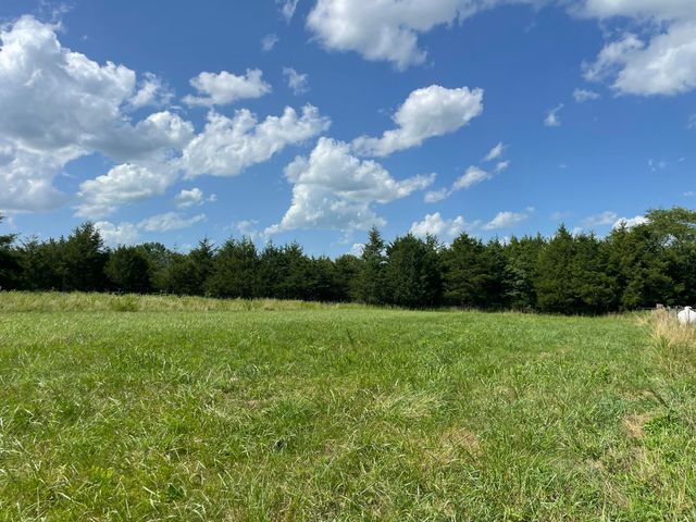 6609 County Road O-535, Ava, MO 65608