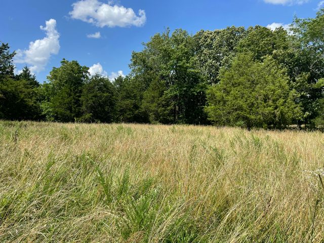 6609 County Road O-535, Ava, MO 65608