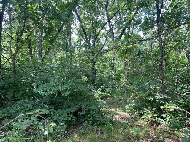 6609 County Road O-535, Ava, MO 65608