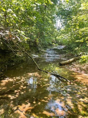 6609 County Road O-535, Ava, MO 65608