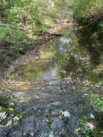 6609 County Road O-535, Ava, MO 65608