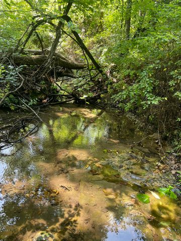 6609 County Road O-535, Ava, MO 65608