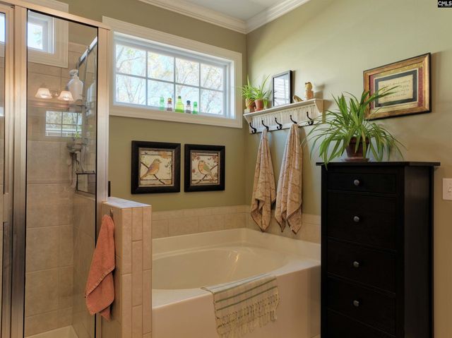 148 Parapet Trail, Chapin, SC 29036