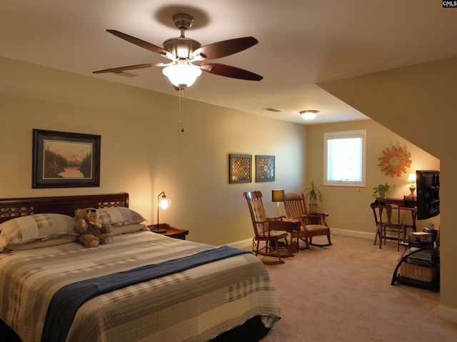 148 Parapet Trail, Chapin, SC 29036