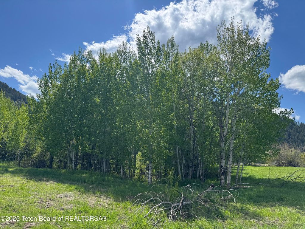 694 SALT RIVER RANCH Lane, Thayne, WY 83127 photo 13