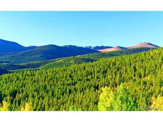 1111 Lamartine Rd, Georgetown, CO 80444