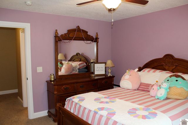 494 & 430 Beat Farmer Road, New Concord, KY 42076