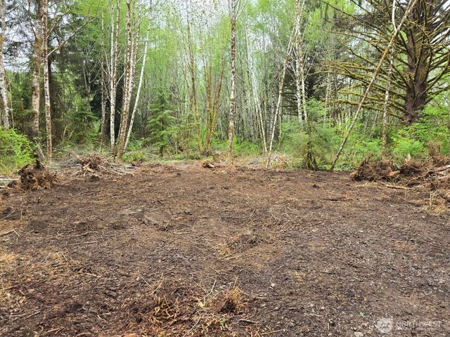 0 NKA North River Road, Cosmopolis, WA 98537