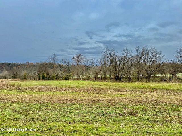 975 Grundy Home Rd, Springfield, KY 40069