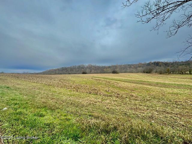 975 Grundy Home Rd, Springfield, KY 40069