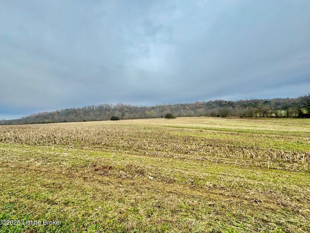 975 Grundy Home Rd, Springfield, KY 40069