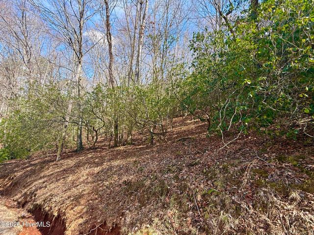 00 Ridgeline Drive, Brasstown, NC 28902