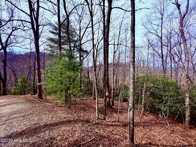 00 Ridgeline Drive, Brasstown, NC 28902