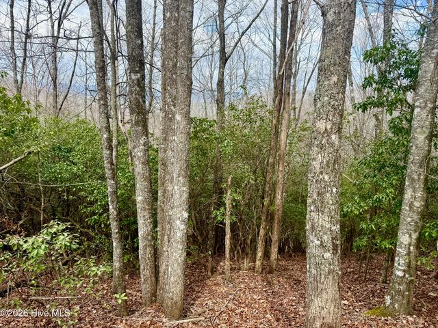 00 Ridgeline Drive, Brasstown, NC 28902