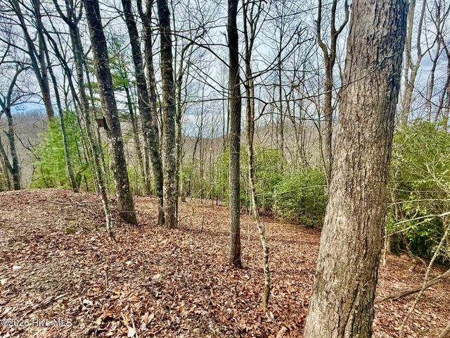 00 Ridgeline Drive, Brasstown, NC 28902