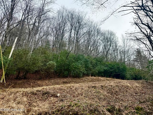 00 Ridgeline Drive, Brasstown, NC 28902