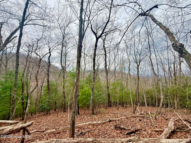 00 Ridgeline Drive, Brasstown, NC 28902