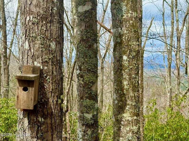00 Ridgeline Drive, Brasstown, NC 28902