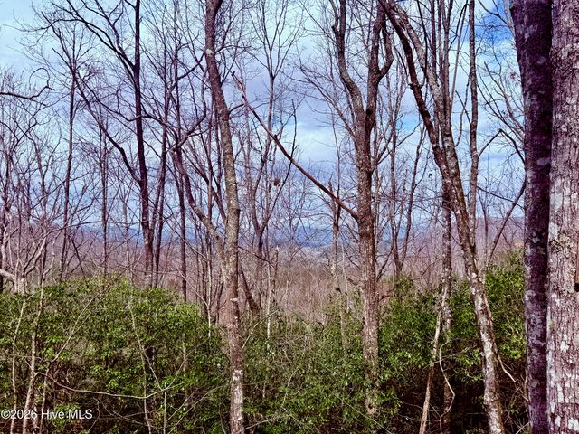 00 Ridgeline Drive, Brasstown, NC 28902