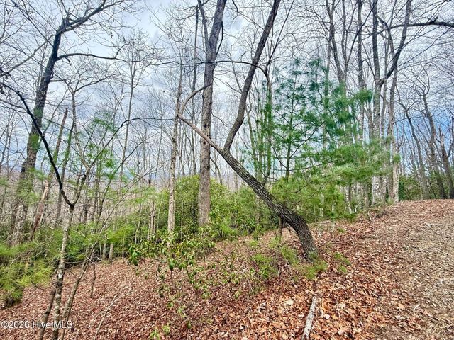 00 Ridgeline Drive, Brasstown, NC 28902