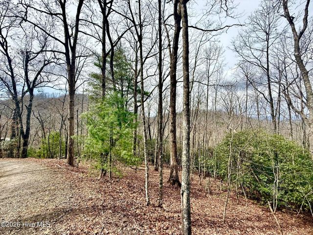 00 Ridgeline Drive, Brasstown, NC 28902