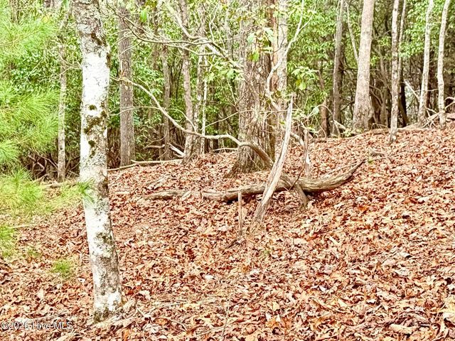 00 Ridgeline Drive, Brasstown, NC 28902