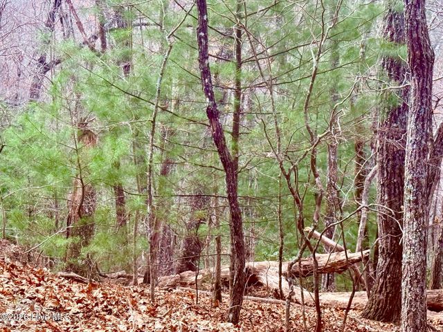 00 Ridgeline Drive, Brasstown, NC 28902