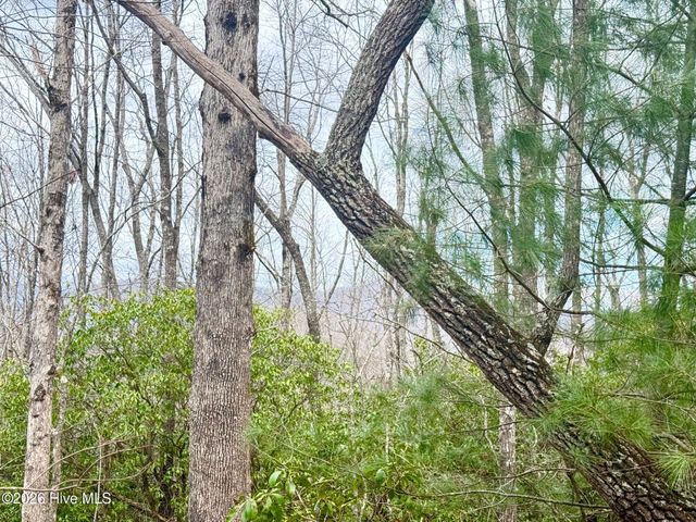 00 Ridgeline Drive, Brasstown, NC 28902