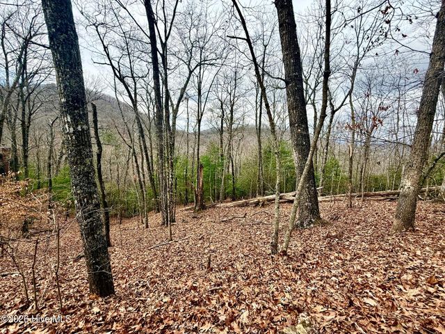 00 Ridgeline Drive, Brasstown, NC 28902