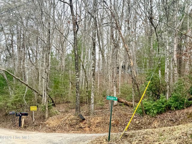 00 Ridgeline Drive, Brasstown, NC 28902