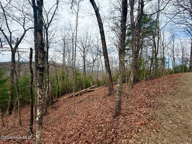 00 Ridgeline Drive, Brasstown, NC 28902